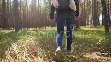 4k视频：年轻女子背着背包在森林里散步，踏过草地上高大的草地